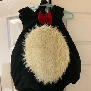 Toddler’s Skunk Costume
